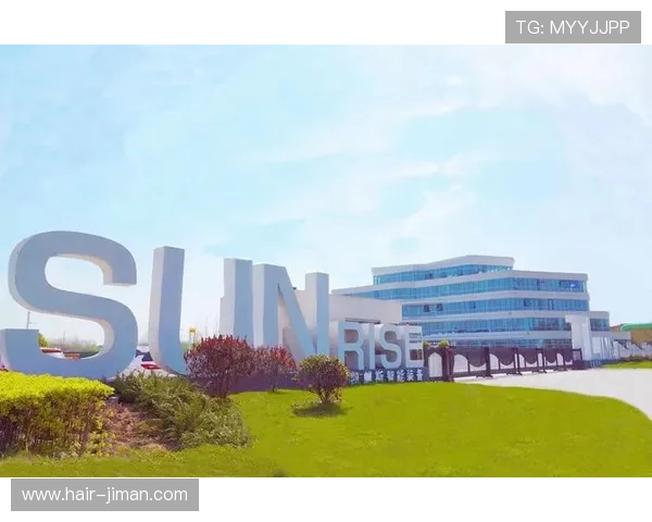 亚星平台是哪里的公司详细介绍及其发展背景分析