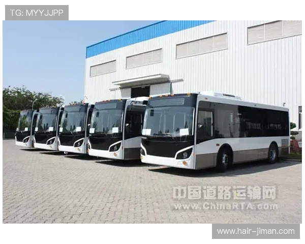 亚星客车股份有限公司的财务状况与投资前景分析，为投资者提供全面的决策参考